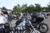 bikerun50_small.jpg