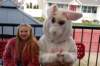 yaceaster55_small.jpg