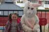 yaceaster58_small.jpg