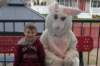 yaceaster59_small.jpg