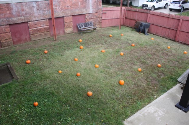 yachalloween05.jpg