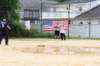 fathersdaysoftball32_small.jpg