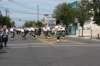 wildwood109_small.jpg