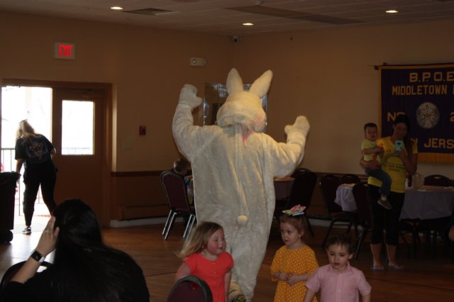 yaceaster04.jpg