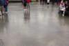 wildwood37_small.jpg